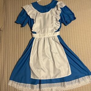 Alice in Wonderland Cosplay/Costume Dress